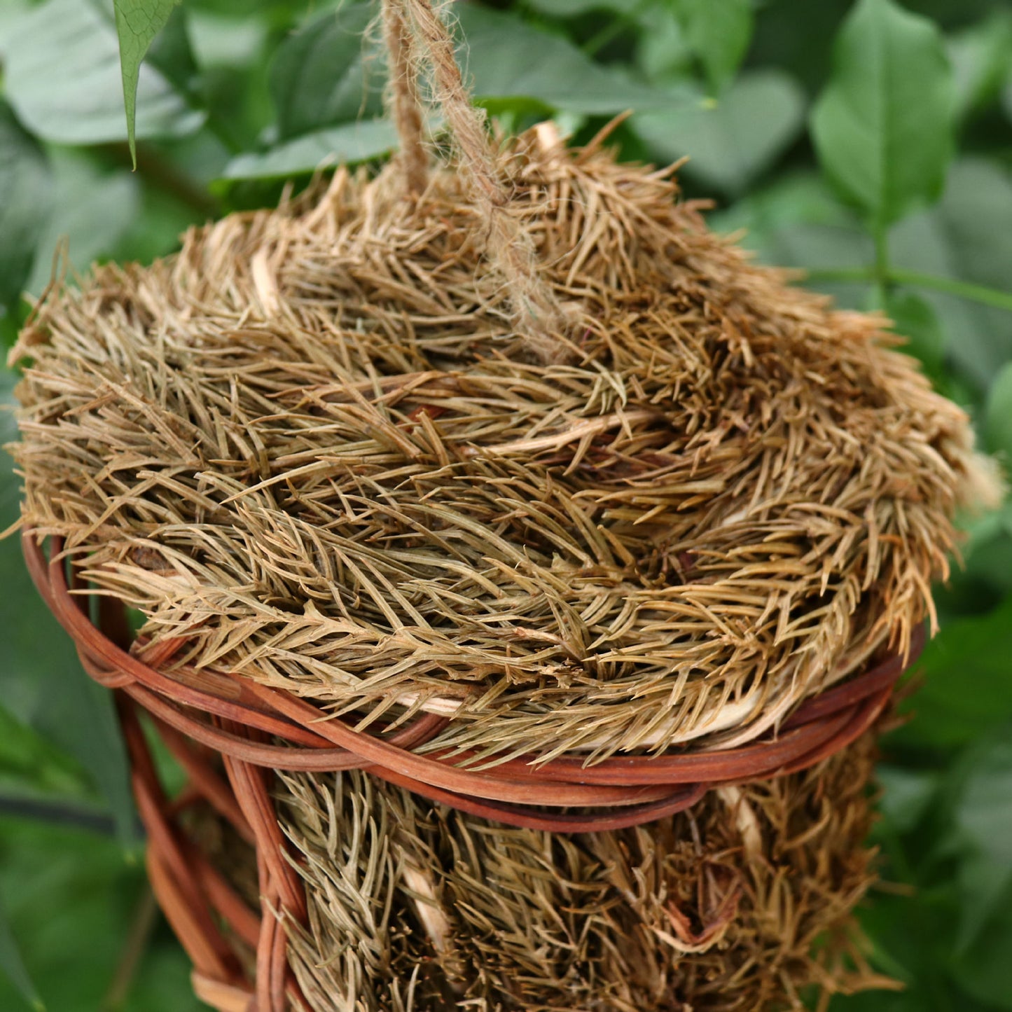 Round Grass Hanging Nest